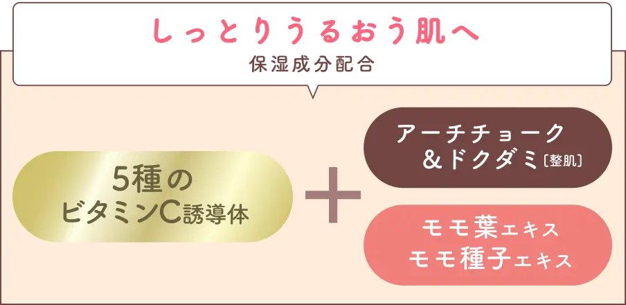しっとりうるおう肌へ(保湿成分配合) 5種のビタミンC誘導体+アーチチョーク＆ドクダミ[整肌],モモ葉エキス・モモ種子エキス