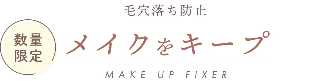 数量限定 毛穴落ち防止 メイクをキープ MAKE UP FIXER