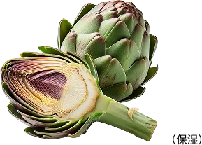 アーティチョーク（保湿）