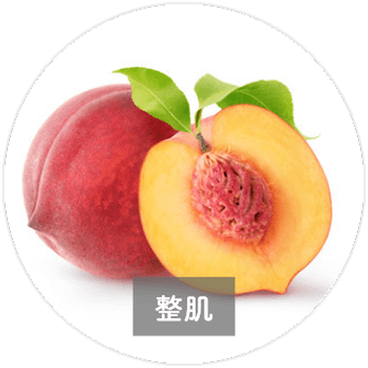 モモ種子エキス（整肌）