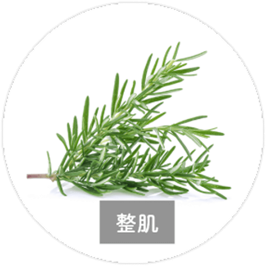 ローズマリーエキス（整肌）