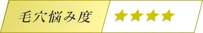 毛穴悩み度★3