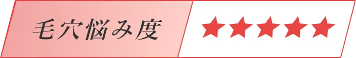 毛穴悩み度★4