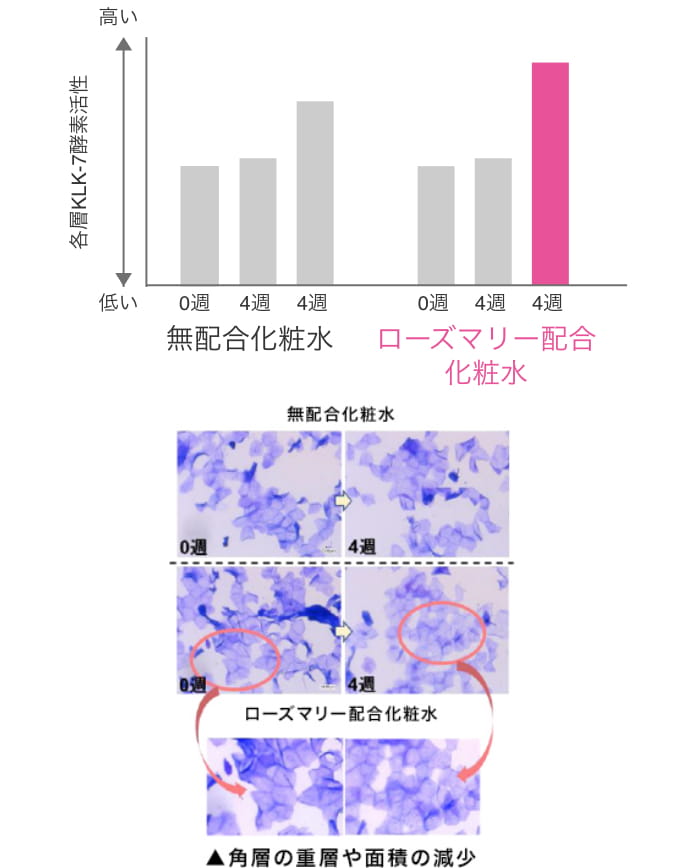 共培養試験による評価