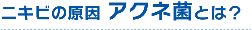 ニキビの原因 アクネ菌とは？