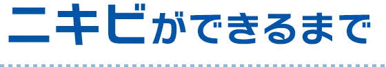 ニキビができるまで