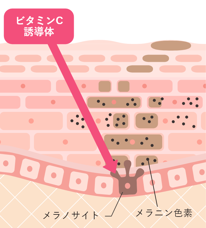 ビタミンC誘導体