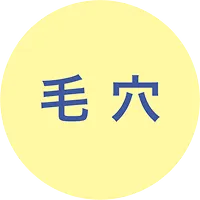 毛穴