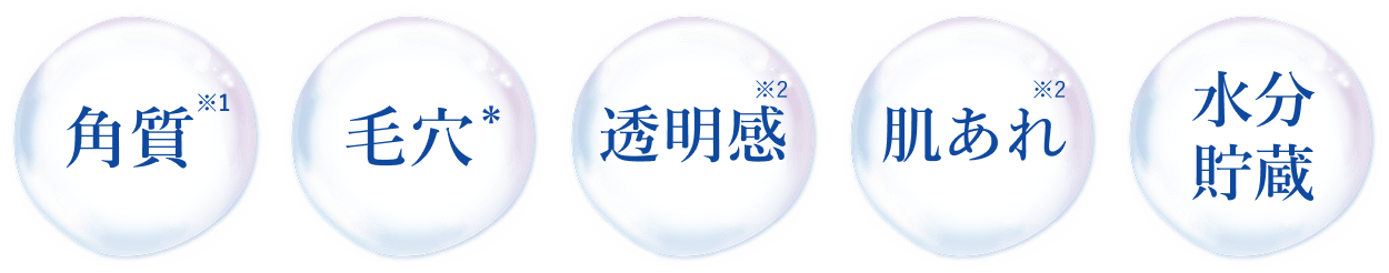 角質※1・毛穴*・透明感※2・肌あれ※2・水分貯蔵