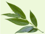 果実AHA