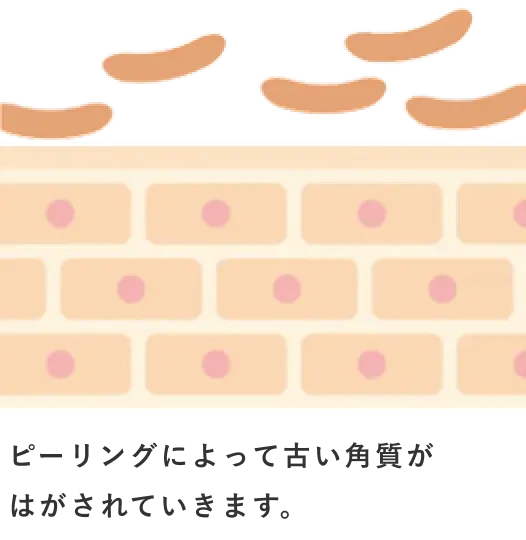 ピーリングによって古い角質がはがされていきます。