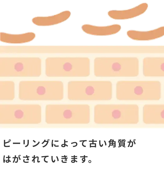 ピーリングによって古い角質がはがされていきます。