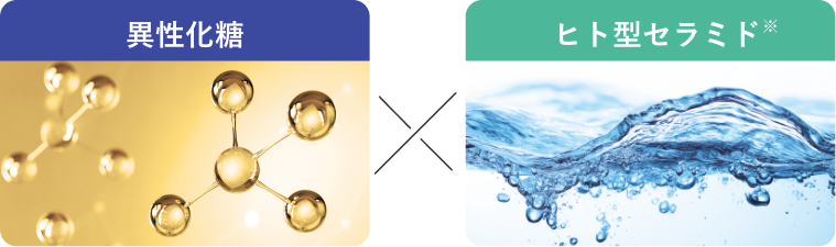 異性化糖 (保湿)とヒト型セラミド (保湿)