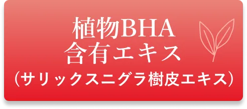 植物BHA 含有エキス