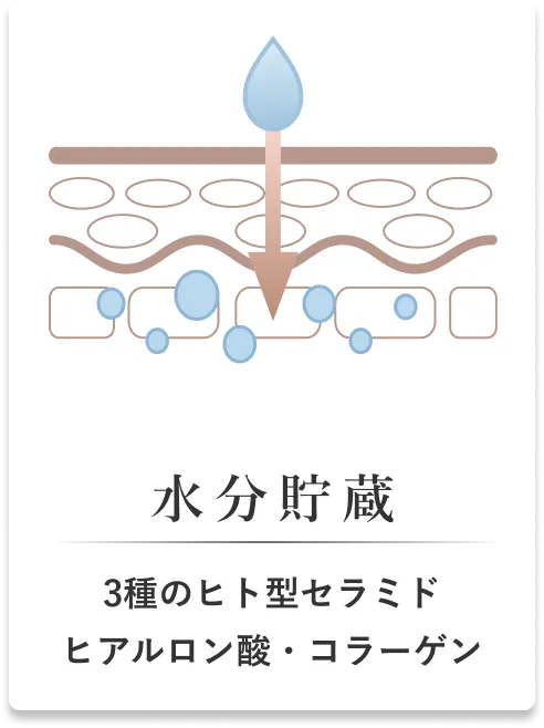 水分貯蔵