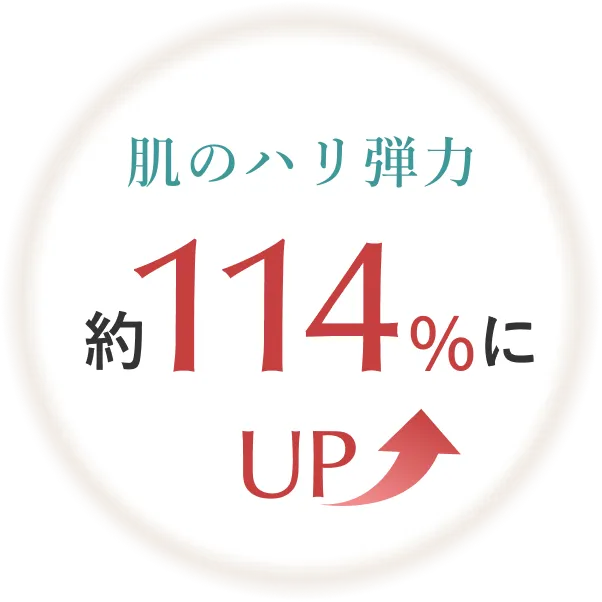 肌のハリ弾力