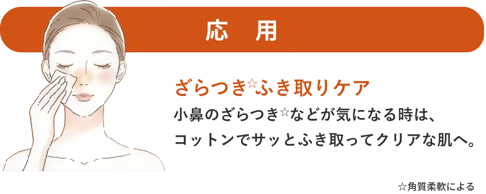 応用