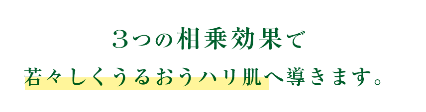 3つの相乗効果で若々しくうるおうハリ肌へ導きます。