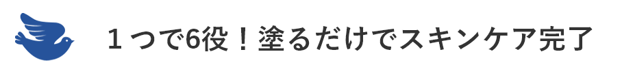 1つで６役！塗るだけでスキン家完了