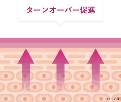 ターンオーバー促進