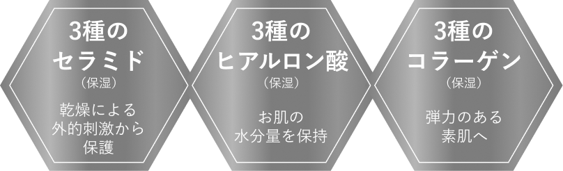 3種のセラミド/3種のヒアルロン酸/3種のコラーゲン
