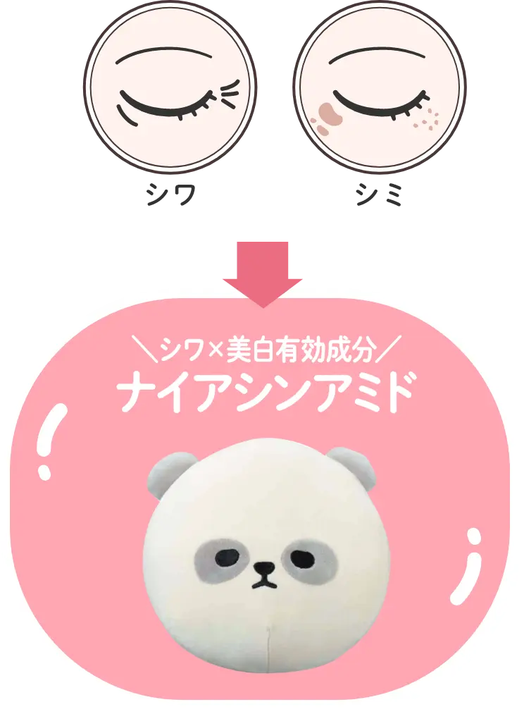 シワ×美白有効成分 ナイアシンアミド