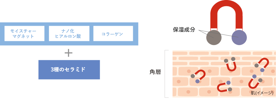 モイスチャーマグネットHC配合イメージ図