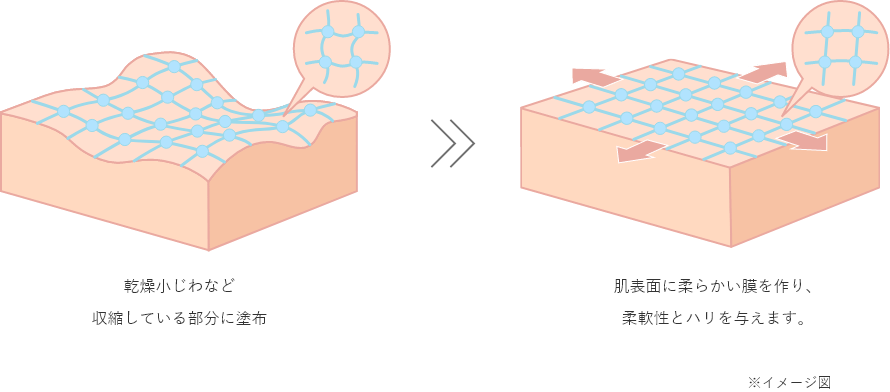 セラキュート-Vイメージ図