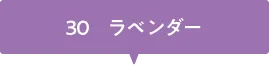 10パールタイプ