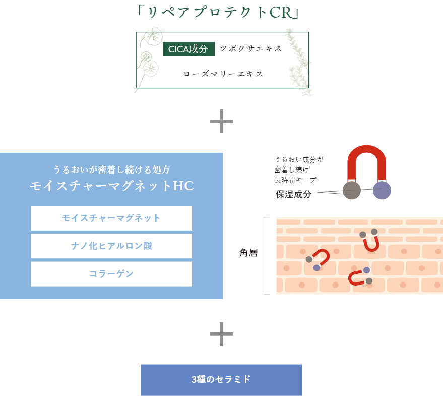 リペアプロテクトCR