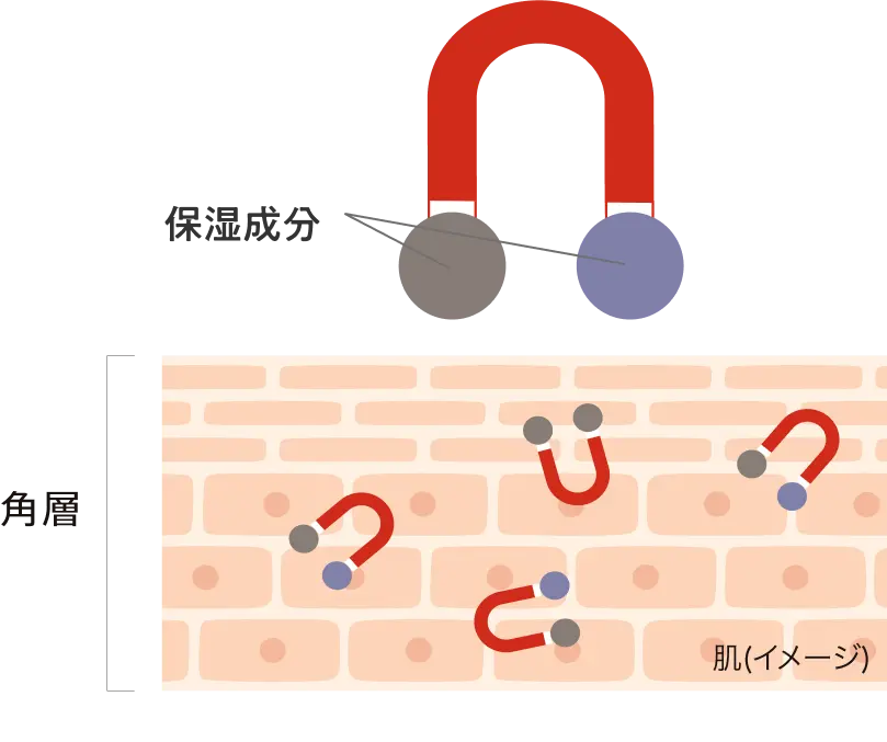 モイスチャーマグネット