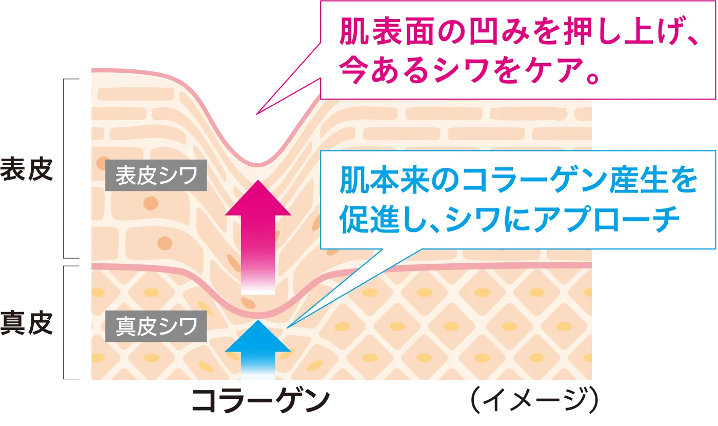 肌図