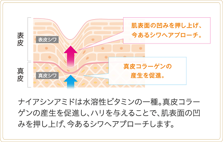 ナイアシンアミドは水溶性ビタミンの一種