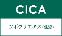 CICA