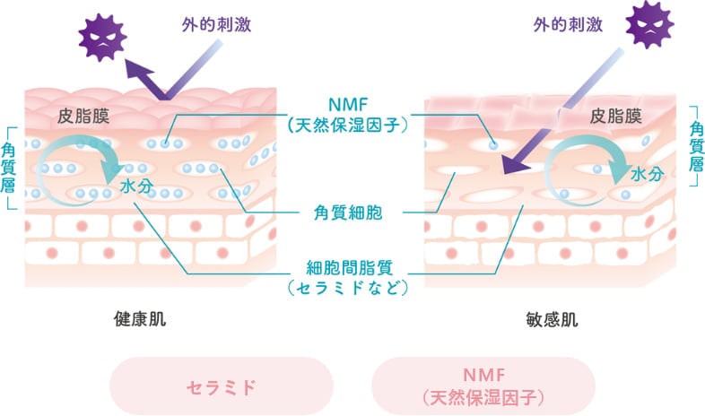 水分油分バランスを整えるバリアサポート成分