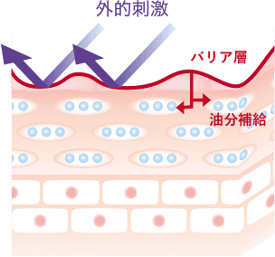 馬油の強力な保湿効果画像